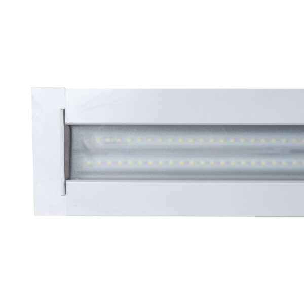 LR007 LED Extraction Canopy Light